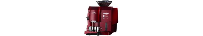 CaFamosa CF255 CaFamosa CF255